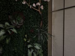 -耀莱SPA·搓澡·按摩养生(坭岗店)