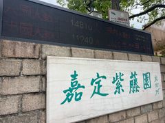 -嘉定紫藤园