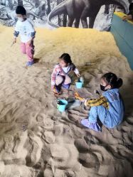 -恐龙探索乐园(磁器口店)