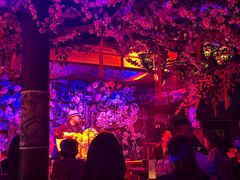 -周庄红庭演艺酒吧