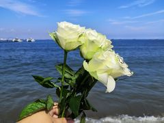 -北戴河东海水浴场