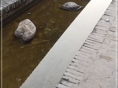 -茯茶镇