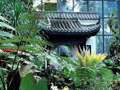 -东莞植物园