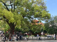 -宝通禅寺