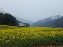 -新安江山水画廊风景区