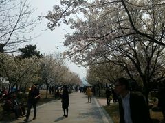 android_upload_pic-蠡湖大桥公园