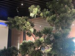 -绿茶餐厅(成都大悦城店)