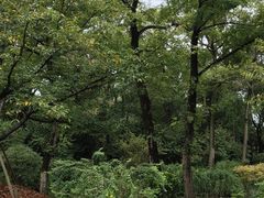 -苏州河梦清园环保主题公园