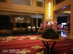 -成都保利公园皇冠假日酒店(熊猫基地店)