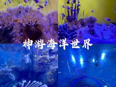 -威海华夏城景区