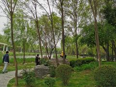 -唐城墙遗址公园
