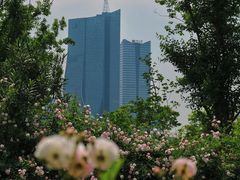 -天鹅湖体育公园
