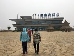 -哈素海