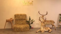 -雅尼·亚米儿童摄影美学馆(汉阳店)