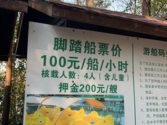 -上海海湾国家森林公园