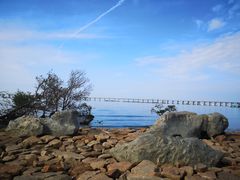 -宝安西湾红树林湿地公园