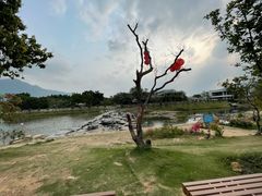 -广州市石门国家森林公园