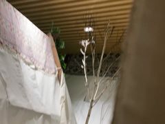 -东方之珠洗浴休闲广场(南开店)
