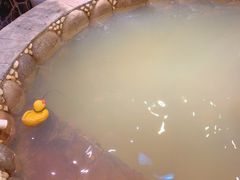 -北京美神宫艺术主题温泉酒店