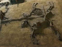 -洛阳周王城天子驾六博物馆