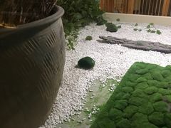 -善水汇汤泉洗浴