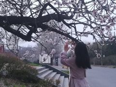 -北京鹫峰国家森林公园