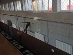 -梦想之巅·青少年篮球·羽毛球·培训中心(西站店)