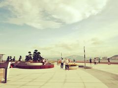 -演武大桥观景平台