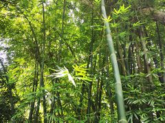 -成都杜甫草堂博物馆