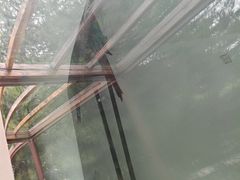-青藏高原野生动物园