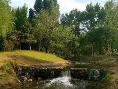 -长白岛森林公园