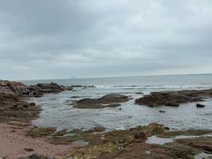 -青岛海景花园大酒店