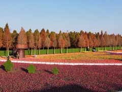 -捞渔河湿地公园