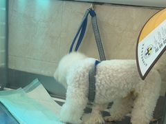 -动物缘宠物医院·骨科·猫科(西二环店)