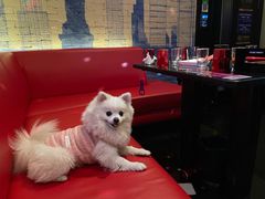 -音乐派KTV(银泰城店)
