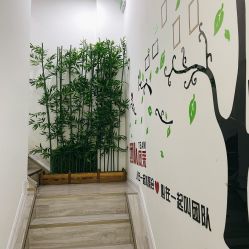 -莱可美科技美肤