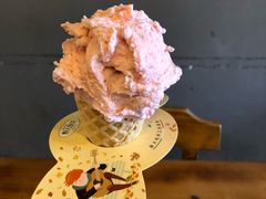 -野人牧坊Gelato(天津南开大悦城店)