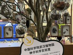 -武汉荟聚
