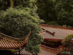 -都江堰普照寺
