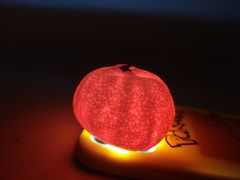 -铁人烧烤(北京店)