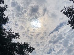 -北京国子监胡同