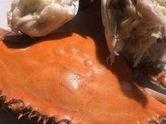 -东戴河风景区-止锚湾