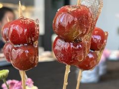 蒲公英糖葫芦-小大董·烤鸭(凤凰汇店)