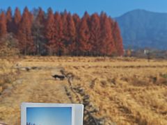 -塔川景区