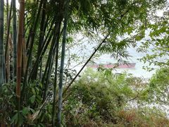 -羚羊峡古栈道森林公园