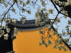 -灵谷景区