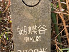 -梧桐山风景名胜区