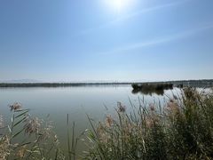 -野鸭湖国家湿地公园