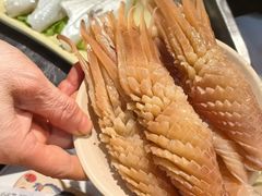 -朱氏胖子烂火锅(洪崖洞店)