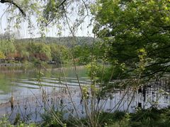 -西湖外事游船(花港观鱼码头)